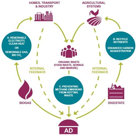 British Biogas could shield households from Gulf energy shock