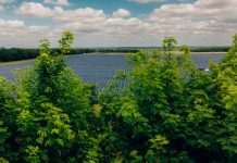 Low Carbon brings 240MW of solar capacity into operations in the UK over the last year