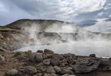 Hot spring microbiomes could transform industrial CO2 waste into valuable products