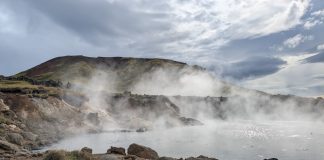 Hot spring microbiomes could transform industrial CO2 waste into valuable products