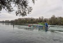 From fish tails to energy trails: How biomimicry and composites are making waves in renewable energy