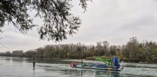 From fish tails to energy trails: How biomimicry and composites are making waves in renewable energy