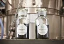 Integrals Power secures government funding for cathode manufacturing feasibility project