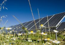 Government approves UK’s largest power-producing solar farm