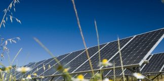 Government approves UK’s largest power-producing solar farm