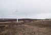 Early stage assessment begins for potential Northumberland wind farm