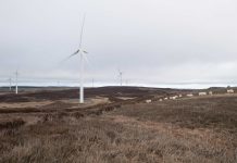 Early stage assessment begins for potential Northumberland wind farm