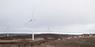 Early stage assessment begins for potential Northumberland wind farm