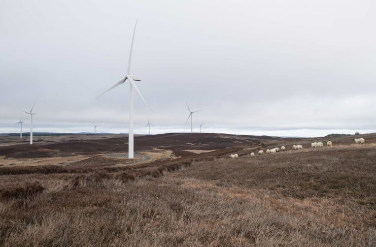 Early stage assessment begins for potential Northumberland wind farm