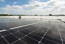 When AI and a brewery compete for the same electricity, who wins?