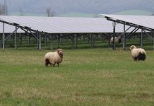 British Solar Renewables secures up to £130 million financing from Eiffel Investment Group