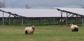 British Solar Renewables secures up to £130 million financing from Eiffel Investment Group