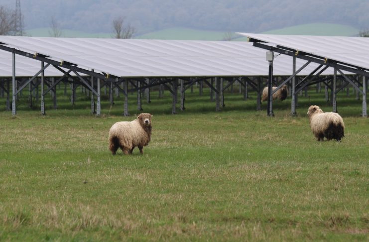 British Solar Renewables secures up to £130 million financing from Eiffel Investment Group
