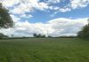 Enviromena acquires 26MWp Duxhurst solar project in Surrey from Luminous Energy