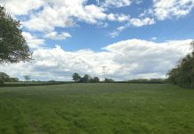 Enviromena acquires 26MWp Duxhurst solar project in Surrey from Luminous Energy