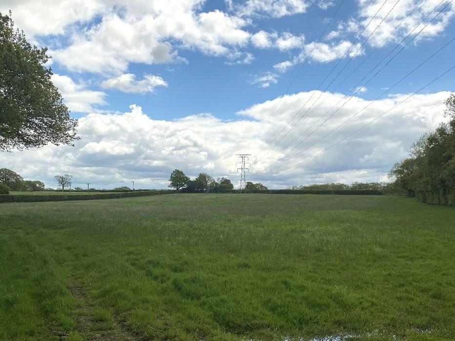 Duxhurst
