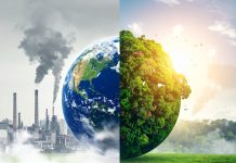 Why carbon emissions and biodiversity can’t stay in separate silos