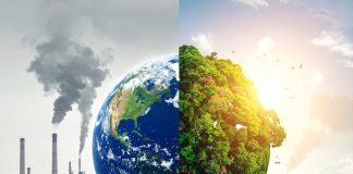 Why carbon emissions and biodiversity can’t stay in separate silos