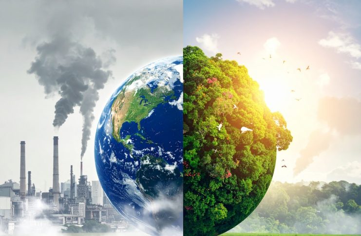 Why carbon emissions and biodiversity can’t stay in separate silos