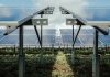 Approval recommended for Grimethorpe Solar Farm which will boost Barnsley economy by millions