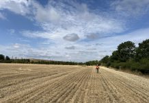 Eku Energy acquires transmission connected 300MW/600MWh Didcot BESS from TBC Partners