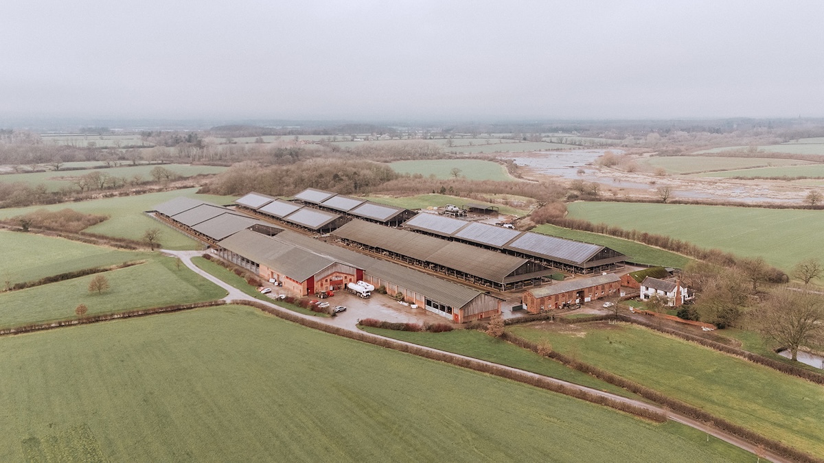 Grosvenor Farms breaks ground on renewable energy scheme - theenergyst
