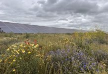 Canary Wharf signs 10-year solar PPA covering 40% of electricity demand