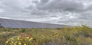 Canary Wharf signs 10-year solar PPA covering 40% of electricity demand