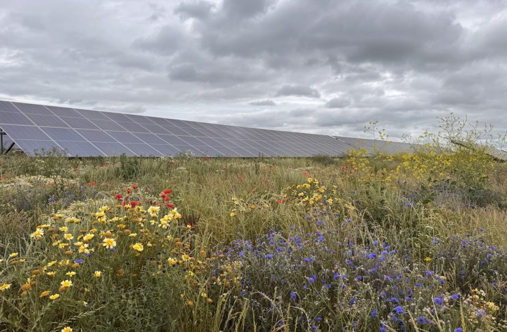 Canary Wharf signs 10-year solar PPA covering 40% of electricity demand
