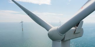 Greenpeace threatens legal action against Crown Estate over ‘extortionate’ fees for offshore wind farm in Irish Sea