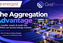 GridBeyond: Smaller energy assets can unlock flexibility revenue