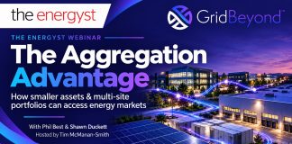 GridBeyond: Smaller energy assets can unlock flexibility revenue