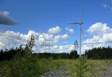Ardian expands Nordic renewables portfolio with 73.2MW wind farm acquisition