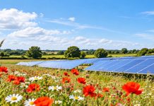 Great North Road Solar and Biodiversity Park receives development consent
